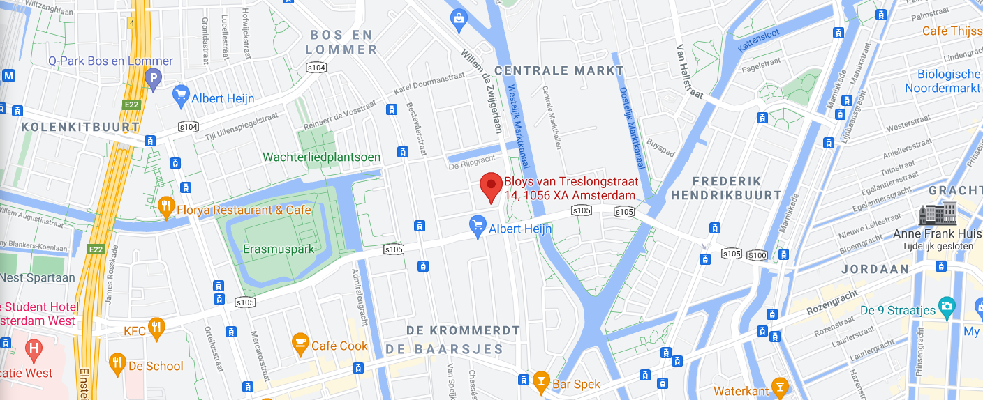Bloys van Treslongstraat Amsterdam